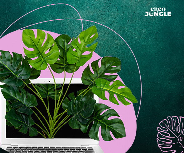 strony www okładka artykułu na blogu